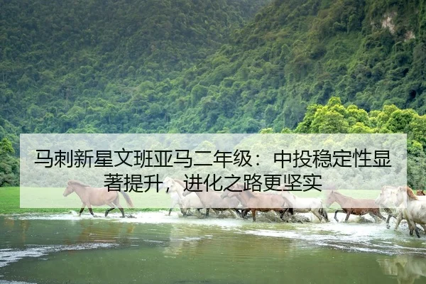 马刺新星文班亚马二年级：中投稳定性显著提升，进化之路更坚实