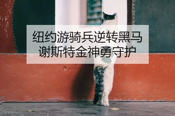 niu-yue-you-qi-bing-ni-zhuan-hei-ma-xie-si-te-jin-shen-yong-shou-hu-2-184.jpg